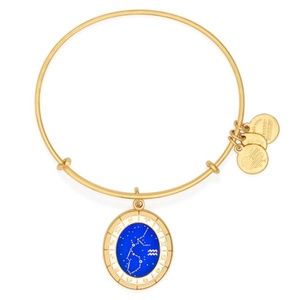 Alex and Ani Aquarius Celestial Wheel Bracelet